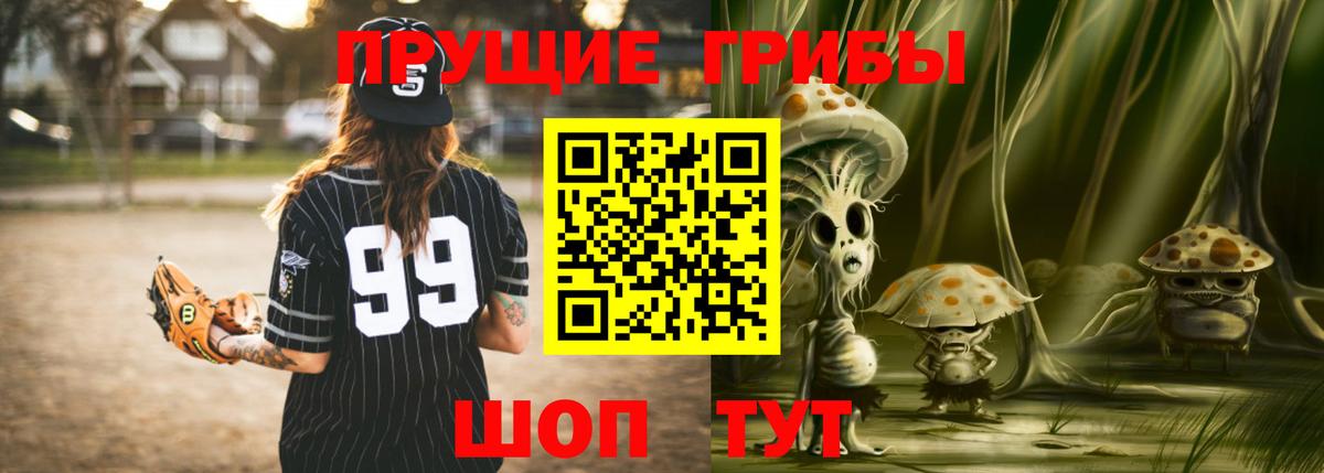 Курчатов  Галлюциногенные грибы Magic Shrooms  Вход с VPN  Псилоцибиновые грибы прущие грибы 
